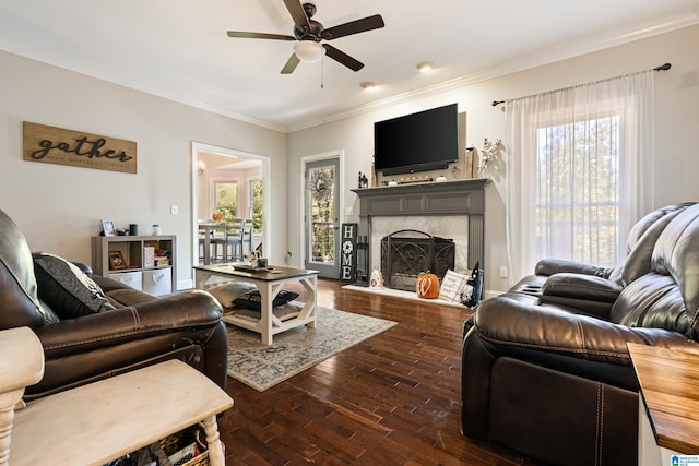 living room featuring a fireplace, dark hardwood / wood-style floors, crown molding, and a healthy amount of sunlight