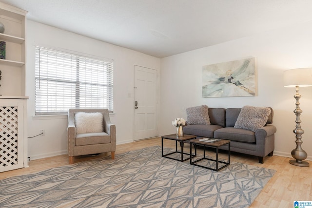 living room featuring wood-type flooring