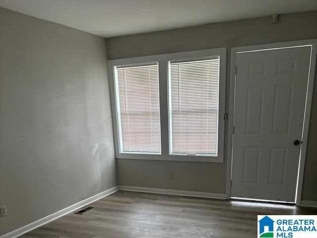 entryway featuring hardwood / wood-style flooring