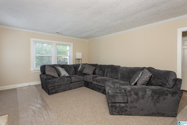 carpeted living room with a textured ceiling and crown molding