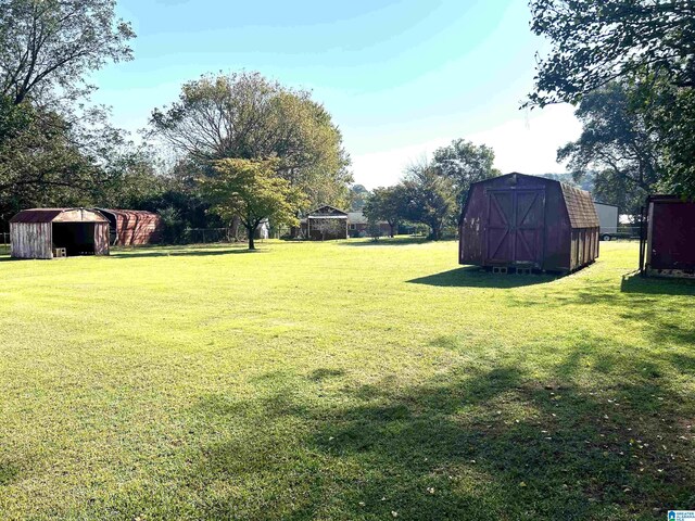 view of yard with a storage shed