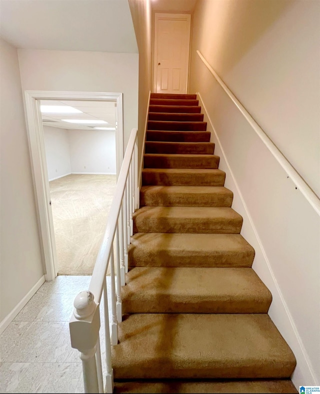 stairway with carpet