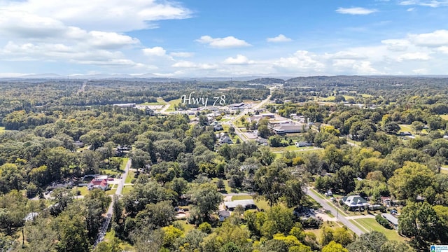 drone / aerial view with a mountain view