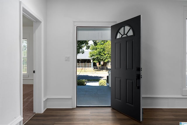 foyer entrance with dark hardwood / wood-style floors and a healthy amount of sunlight