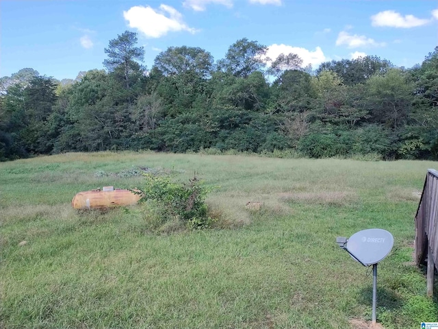 view of yard featuring a wooded view