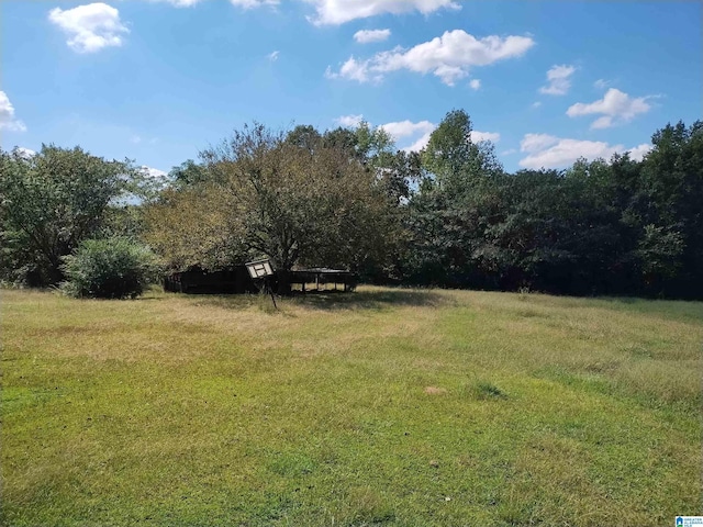 view of grassy yard featuring a wooded view