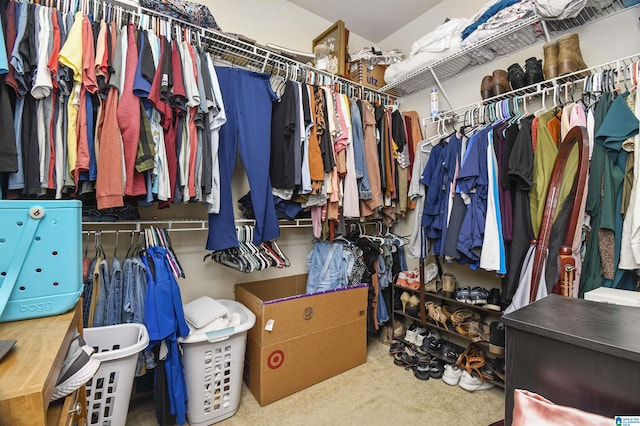 walk in closet featuring carpet floors