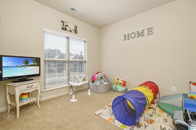 rec room with carpet floors