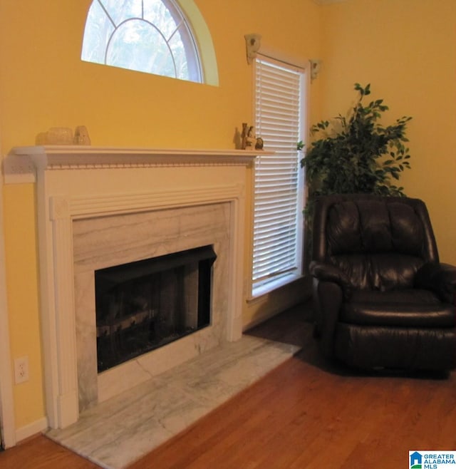 living area with wood-type flooring and a high end fireplace