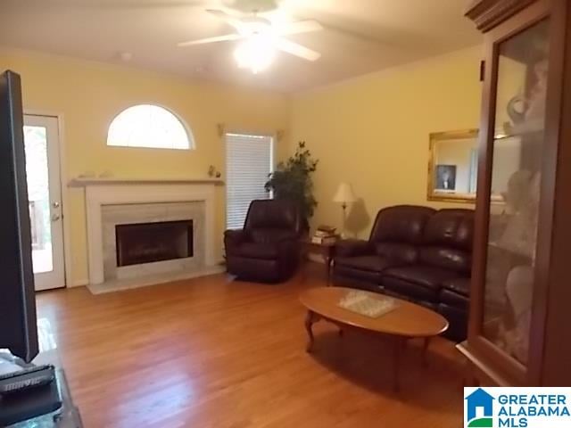 living room with ceiling fan and hardwood / wood-style floors