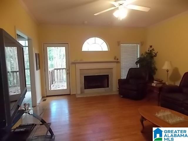 living room featuring ceiling fan and hardwood / wood-style flooring