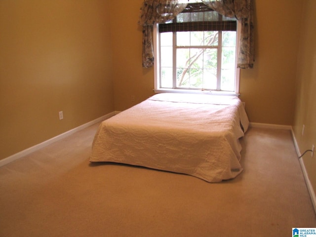 unfurnished bedroom featuring carpet