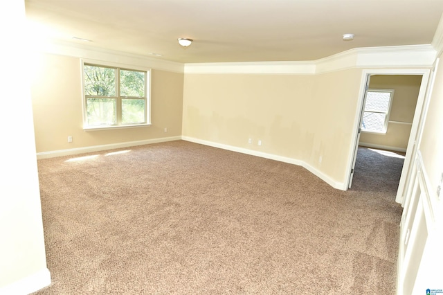 spare room with carpet flooring and crown molding