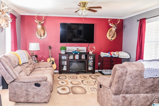 carpeted living room with ceiling fan and crown molding