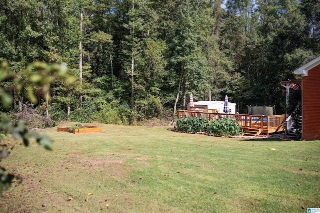 view of yard featuring a deck