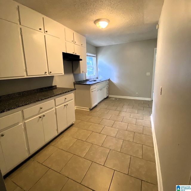 1121 Skyline Dr, Birmingham, AL 35214 - kitchen with baseboards, a textured ceiling, white cabinets, under cabinet range hood, and a sink