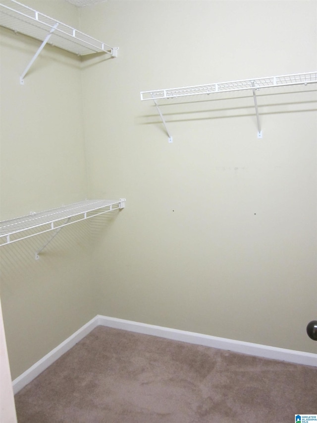 spacious closet with carpet floors