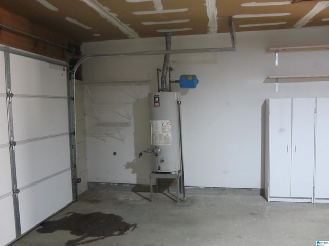 garage with gas water heater