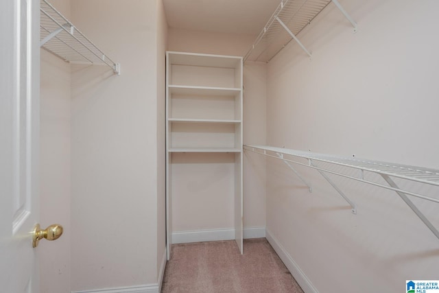 walk in closet with light colored carpet