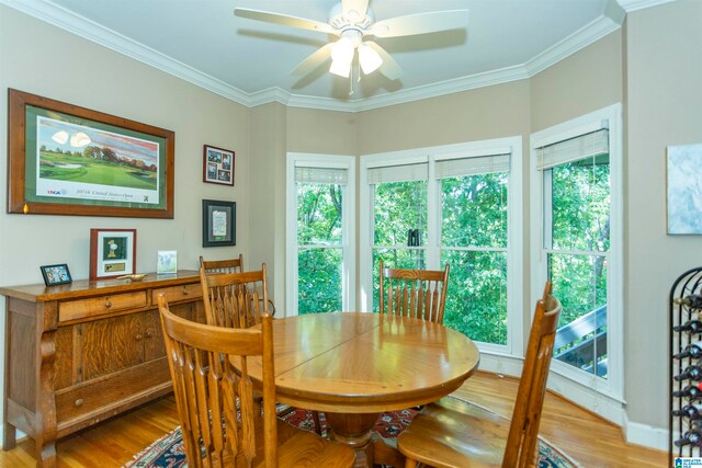 dining area with ornamental molding, hardwood / wood-style floors, and ceiling fan