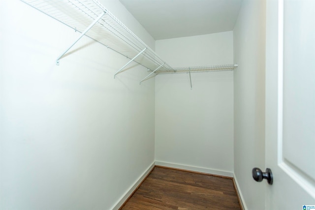 walk in closet with dark hardwood / wood-style floors