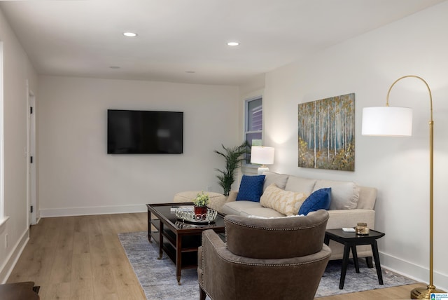 living room featuring light hardwood / wood-style floors