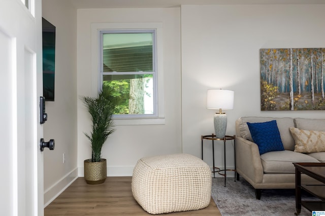 sitting room featuring wood-type flooring