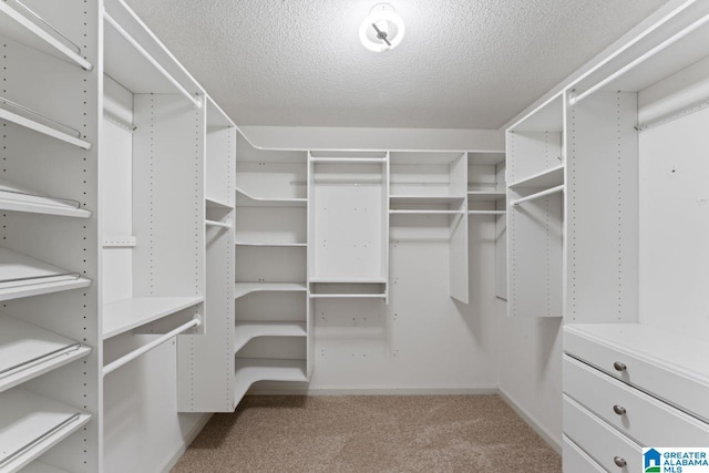 walk in closet featuring light colored carpet