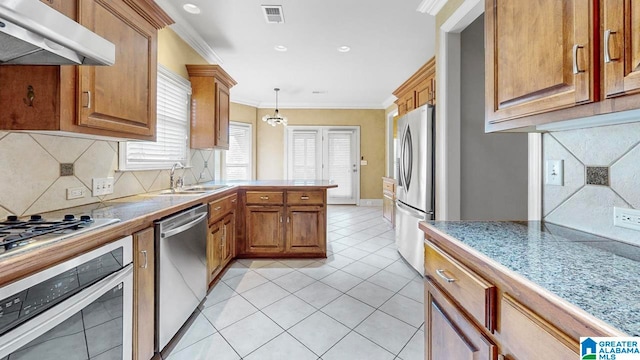 kitchen with tasteful backsplash, range hood, sink, stainless steel appliances, and ornamental molding