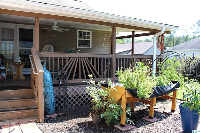 deck featuring ceiling fan