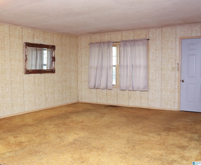 carpeted empty room featuring a textured ceiling