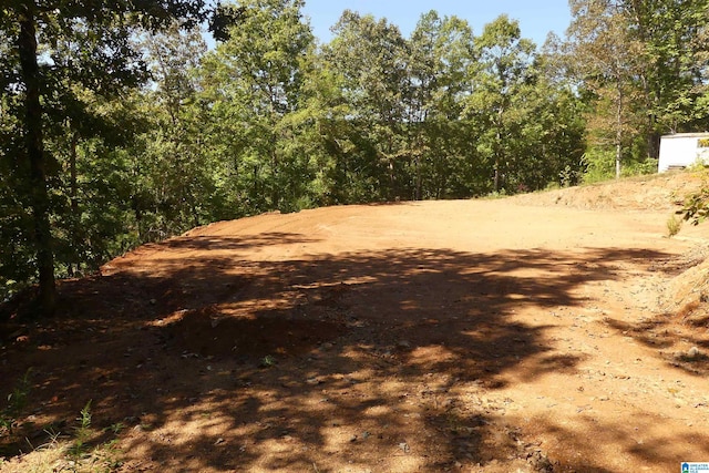 LOT11 Hi Point Ln Unit 11, Wedowee AL, 36278 land for sale