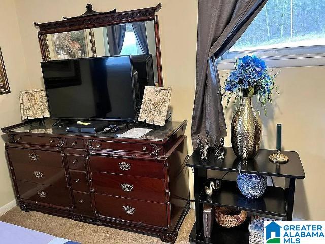 3195 County Road 67, Scottsboro, AL 35769 - detailed view of baseboards