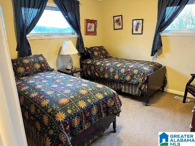 3195 County Road 67, Scottsboro, AL 35769 - bedroom with carpet, multiple windows, and baseboards