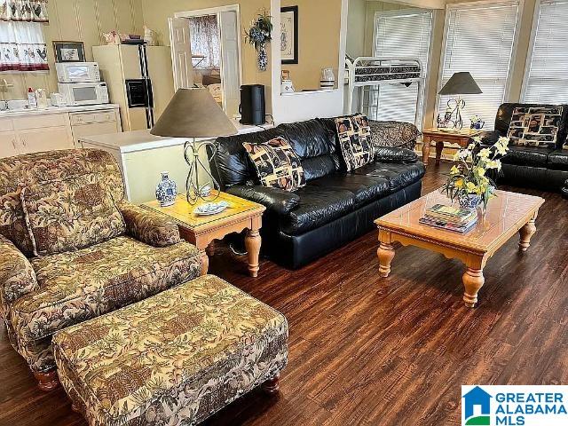 living room with dark hardwood / wood-style flooring