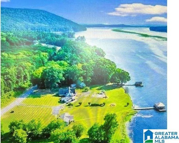 3195 County Road 67, Scottsboro, AL 35769 - aerial view of a large body of water