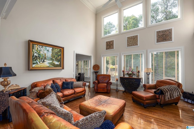 living room with a wealth of natural light, hardwood / wood-style floors, and crown molding