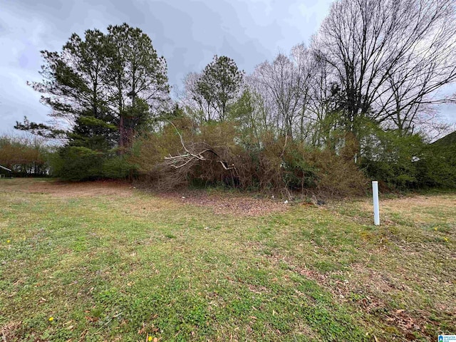 16 Dylon Ct Unit 59, Lincoln AL, 35096 land for sale