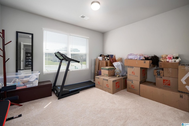 exercise room featuring carpet flooring