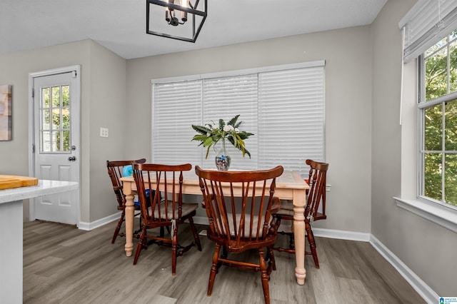 dining room with hardwood / wood-style floors and a healthy amount of sunlight