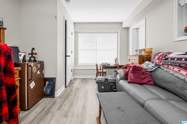 living room with light hardwood / wood-style flooring