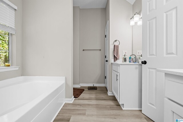 bathroom with a bath, hardwood / wood-style flooring, and vanity