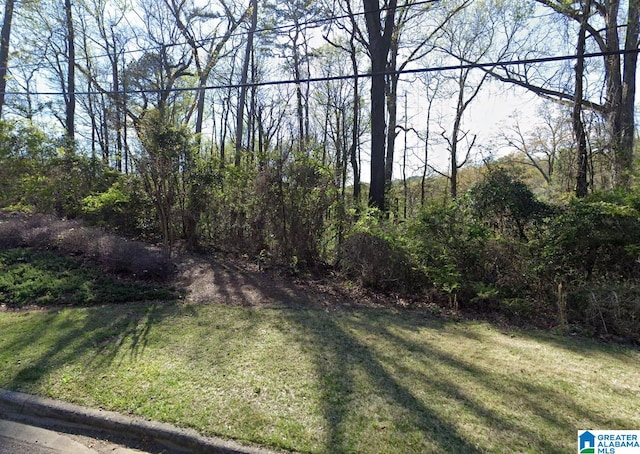 2039 21st Ave S Unit 000, Birmingham AL, 35209 land for sale