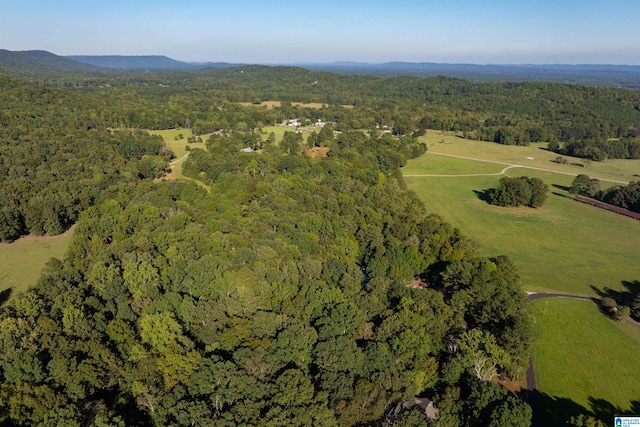 aerial view with a mountain view