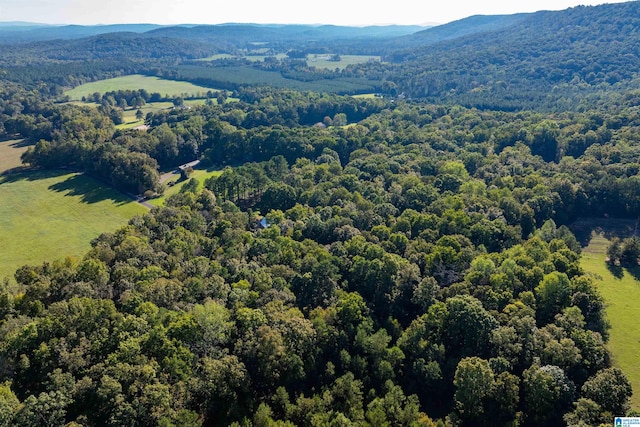 bird's eye view with a mountain view