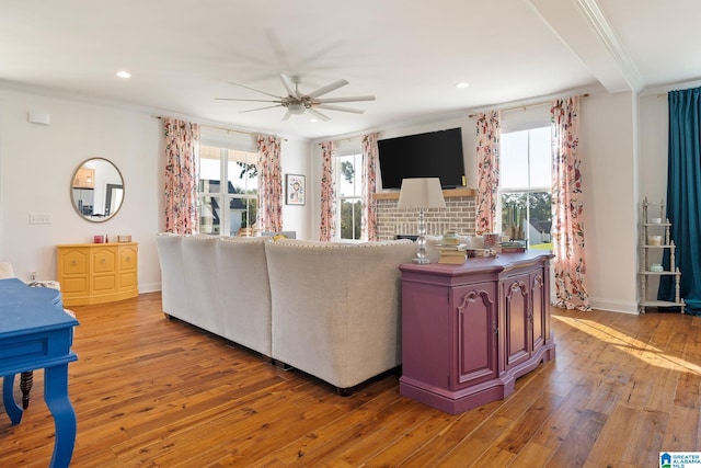 living room with ornamental molding, light wood-type flooring, and ceiling fan