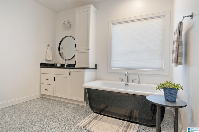 bathroom featuring vanity and a bathing tub