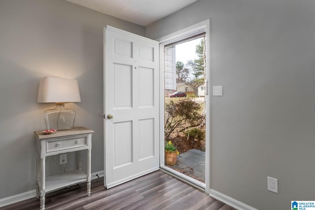 doorway featuring dark hardwood / wood-style flooring