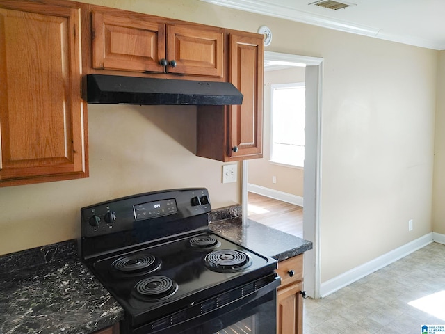 kitchen featuring dark stone counters, electric range, and ornamental molding