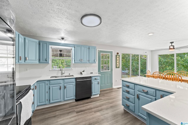 kitchen with dishwasher, hardwood / wood-style floors, and a healthy amount of sunlight